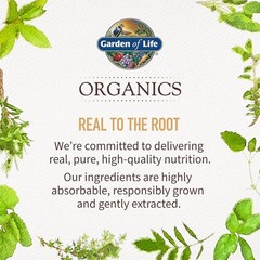 Garden of Life Organics Oil Oregano Seasonal Drops 1fl 1 Fl Oz (Pack 1)