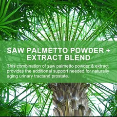 Saw Palmetto Helps with Prostate Health Reduces Urinary Frequency Urgency 120CT