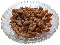 SALAB MISRI Salep Orchid Salam Misri Ayurveda WHOLE Indian Herbs