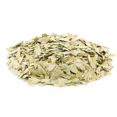 Zokiva Senna Leaf Tea 50 Bags | Herbal Caffeine-Free Digestive Support Tea