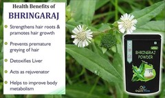 Bhringraj Powder (Eclipta Alba) Healthy Hair Growth Organic Prime Pure & Natural