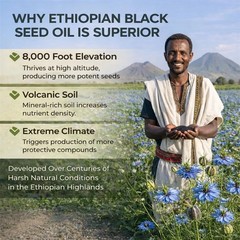 1-5 PACK Ethiopian Black Seed Oil Softgels | 4.64% Thymoquinone | Gluten-Free