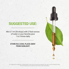 Secrets Of The Tribe Marshmallow Root Tincture Alcohol-FREE