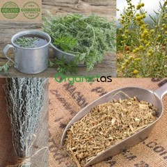 WORMWOOD Herb Tea Organic Artemisia Absinthium Digestion Natural Antibiotic Worm