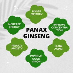 12 x 60 Korean Red Panax Ginseng Extract Root Ginsenosides 500mg Capsule