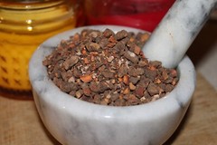 Bloodroot – Sanguinaria canade, Cut Root – Appalachian Mountains Wild Harvest