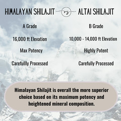 Pure Shilajit from Himalaya, Soft Resin, Extremely Potent, Natural Fulvic Acid