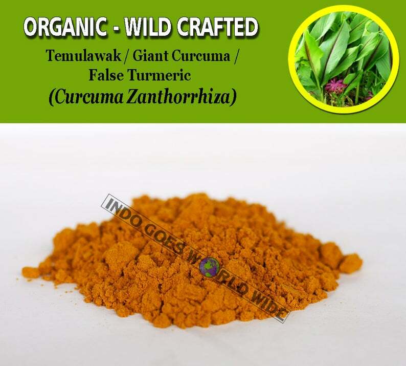 POWDER Giant Curcuma False Turmeric Temulawak Curcuma Zanthorrhiza Organic Wild
