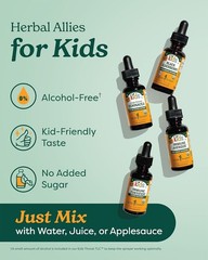 Nurture with Kids Mullein & Garlic Ear Drops – Natural 1 Fl Oz for Ages 1-10
