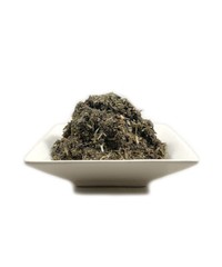 Organic Mugwort (Artemisia vulgaris) Cut & Sifted FRESH 50g (2oz) FREE SAMPLE