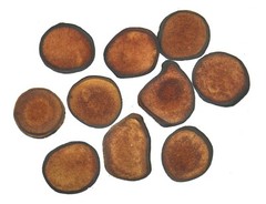 Deer Antler Slices | Antler Velvet | Sika Deer Antler | Lu Rong | 鹿茸 | AAA