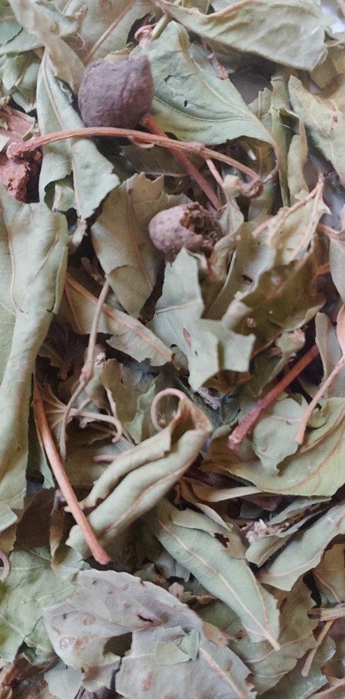 Dried Sidr Leaves 28 grams/ 1 oz (5 x 8″ pouch)