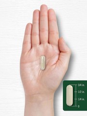 Gymnema Sylvestre Leaf Extract 600mg | 200 Capsules | by Carlyle