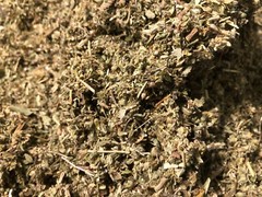 No.25 Herb Blend Mix- California Poppy Damiana Leaf Coltsfoot Catnip – 4 ounce’s