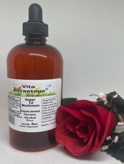 Super 12 Mushroom Alcohol Free With Free Sample