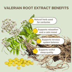 Valerian Root Extract 30 bottles x 50 Coated Tablets (20mg) Экстракт Валерианы