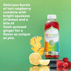 Synergy The Real Kombucha Trilogy, 16 fl oz