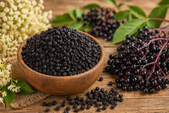 Organic Whole Elderberries (Sambucus nigra) – Dried