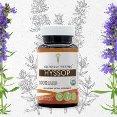 Secrets Of The Tribe Hyssop Capsules, 500 mg