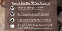 urinary tract infection pills – SAW PALMETTO EXTRACT 500mg – uti relief -100 Cap