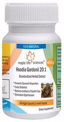 Hoodia Gordonii 20:1 Extract Capsules Suppresses Appetiie & Boosts energy level