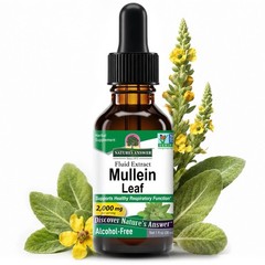 Nature’s Answer Mullein Leaf | Herbal 1 Fl Oz (Pack of 1), Cranberry