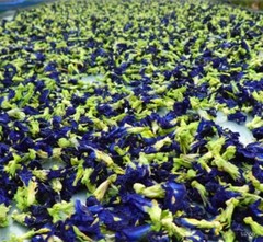 Butterfly Blue Pea Whole Flower pure natural herbal drink Clitoria Ternatea 30g