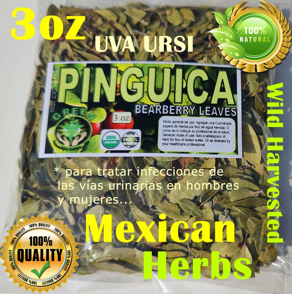 pinguica hojas, pointleaf manzanita,arctostaphylos, Bearberry leaves, uva ursi !