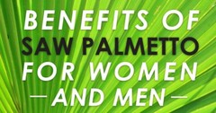 Natural prostate supplements men- SAW PALMETTO EXTRACT – 3B/300 -saw complex men
