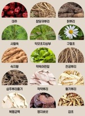 KOREA NO.1 Korean 6 Years Red Ginseng Extract 365, Saponin,Panax 240g x 2ea Set