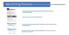 BIOBDMC NovoCurcumin-Next Generation Highly Enhanced Curcumin- 250 Capsules