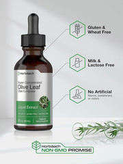 Olive Leaf Extract Liquid Herbal Drops Vegetarian Non-GMO Concentrated 2 fl oz