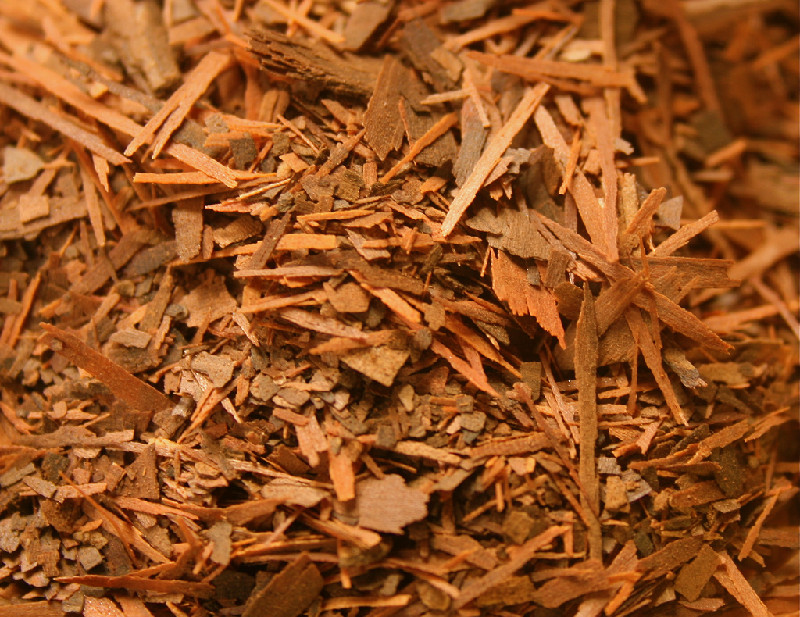 Pau d’Arco Lapacho Handroanthus impetiginos Bark Organic Herb Tea 1 oz.(28g)