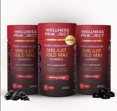 The Wellness Project Shilajit Gold Max 4000mg Gummies 60 Tamarind No Sugar