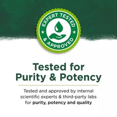 Korean Panax Ginseng Adult Supplement Energy 60 Pills Endurance Memory Sex Drive