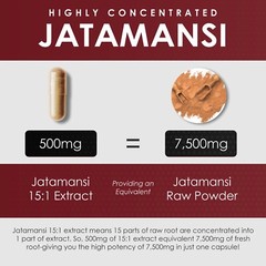 Jatamansi Extract Nardostachys jatamansi (D. Don) DC 120 Capsules