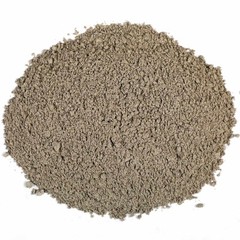 Eva Impex Spreading Hogweed Powder – Punarnava Herb