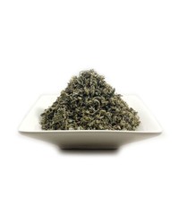Organic Damiana (Tumera diffusa) Cut Sifted C/S Rough Cut ~ Fast Free Shipping ~