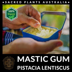 MASTIC GUM Resin 25g Tears of Chios | Pistacia Lentiscus Sacred Shaman Medicinal
