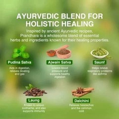 Maharishi Ayurveda Prandhara Oil (3ML ) Herbal Nasal & Head Comfort F/S.