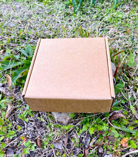 Natural Herbalism Box Bundle 20 Herb Bags Bulk Witchy Apothecary Kit