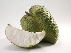 Graviola Tea Bags 3-Pack (90) 100% Pure Leaf Soursop – Annona muricata – Guanaba