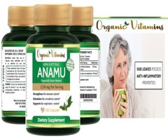 ORGANIC Anamu Natural Supplement Detoxifier & Immune Support 120 Capsules 1250MG