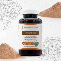Secrets Of The Tribe Hydrangea Capsules, 500 mg