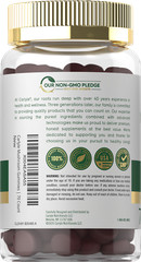 Mushroom Gummies | 70 Vegan Gummies | 10-in-1 Blend | Non-GMO | by Carlyle