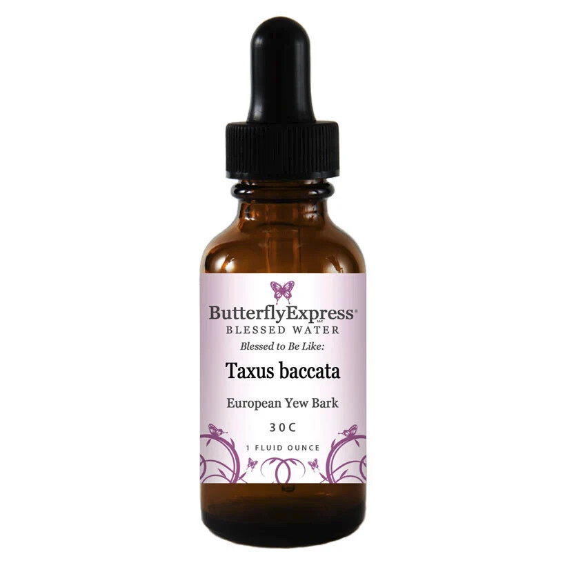 Taxus Baccata by Butterfly Express Homeopathic Remedy 30C 1 oz