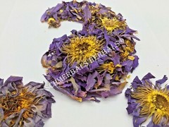 1 oz Organic Blue Lotus, N. caerulea, Whole Siamese Dream™ ~ Schmerbals Herbals