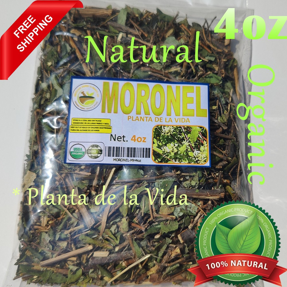 4oz Moronel organic moronel tea ramas de moronel