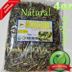 4oz Moronel organic moronel tea ramas de moronel