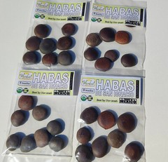 Haba o Semilla de San Ignacio 8 Habas Enteras Ignatius Bean !!!